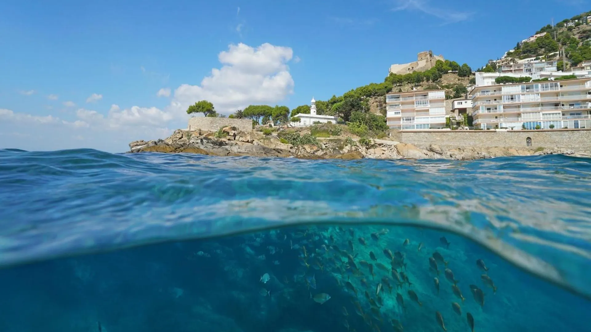 Apartment With View Ρόζες