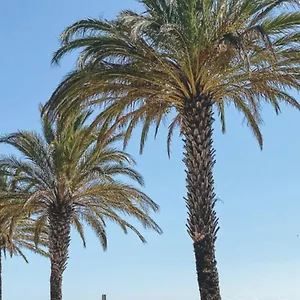  Appartement Studio Roses Plage